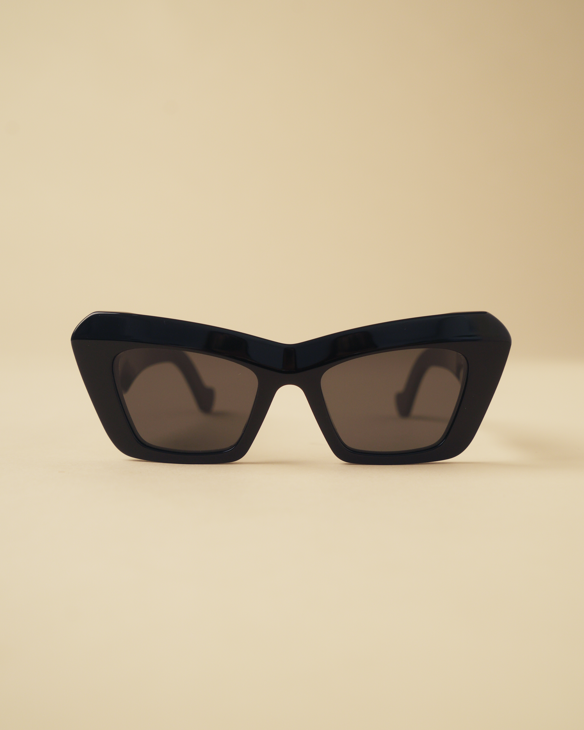 Loewe Chunky Anagram Cat-Eye Sunglasses