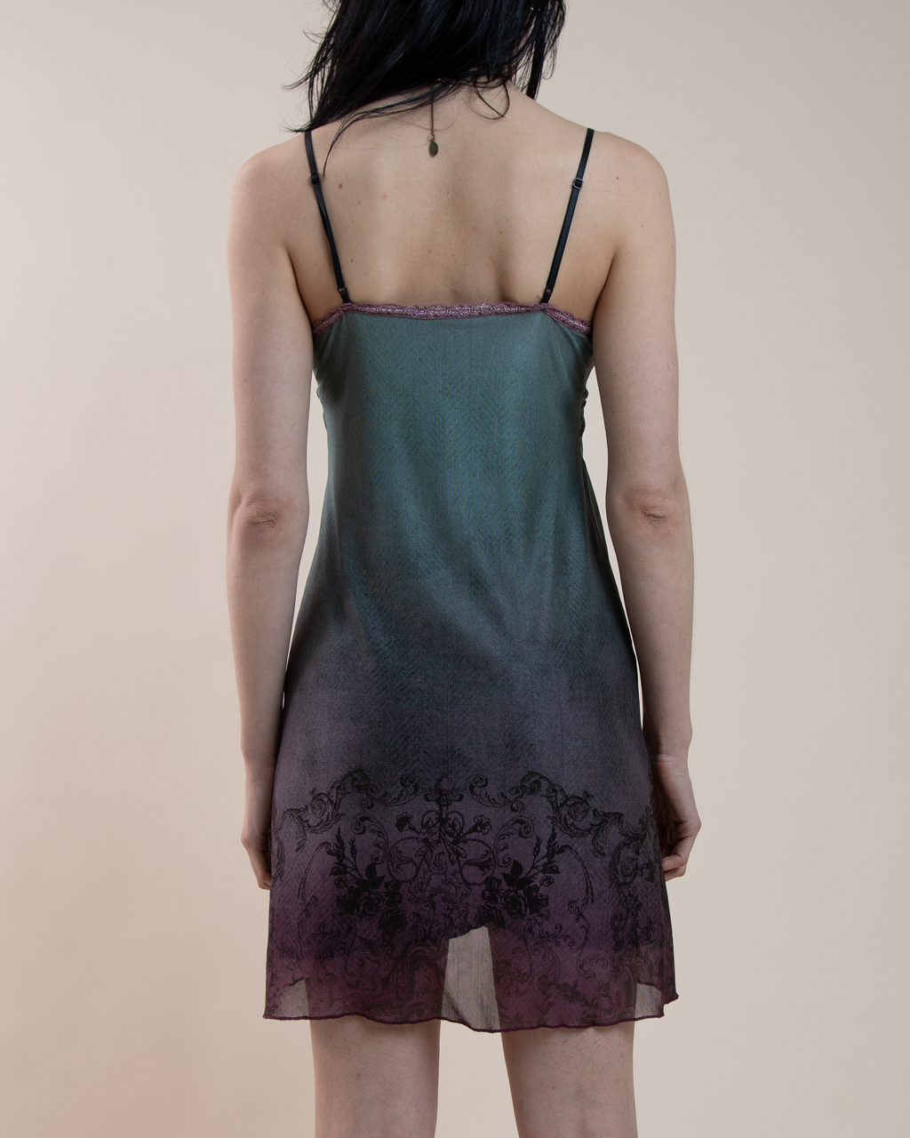 Michal Negrin Ombré Mesh Victorian Cameo Dress